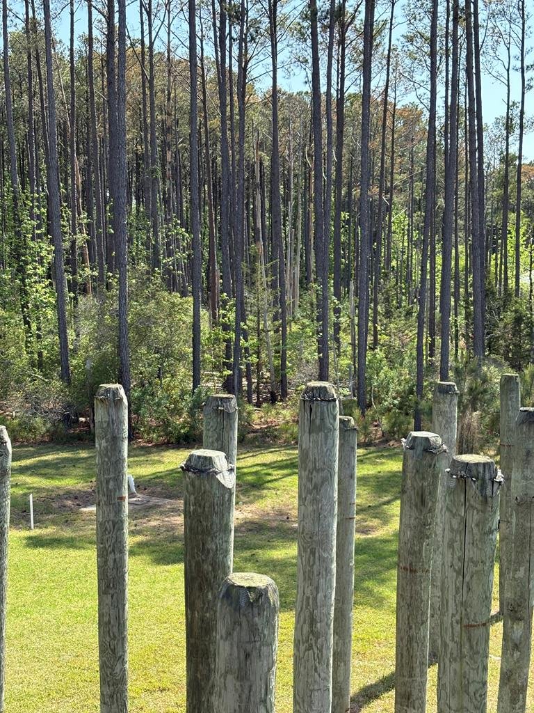 21302 Wise Point Ln #1, 8, Onancock, Virginia image 7