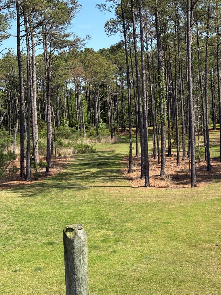 21302 Wise Point Ln #1, 8, Onancock, Virginia image 39
