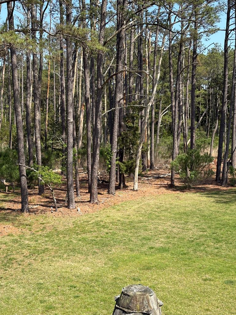 21302 Wise Point Ln #1, 8, Onancock, Virginia image 43