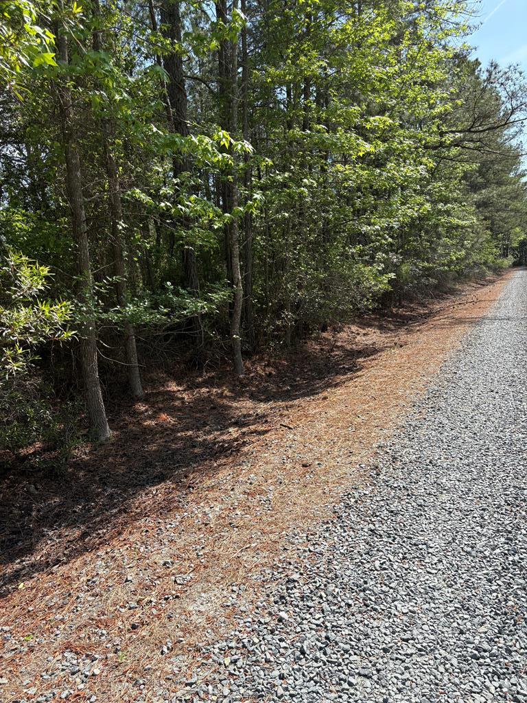 21302 Wise Point Ln #1, 8, Onancock, Virginia image 33