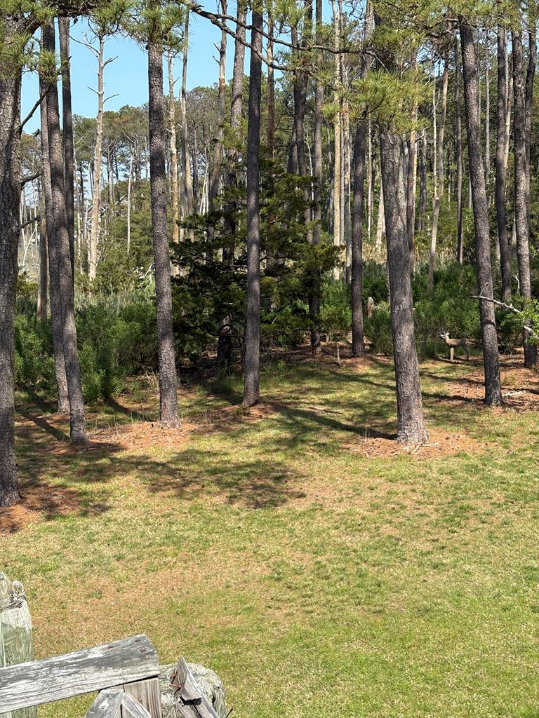 21302 Wise Point Ln #1, 8, Onancock, Virginia image 47