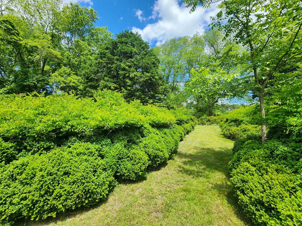 12069 Blue Teal Ln, Machipongo, Virginia image 10