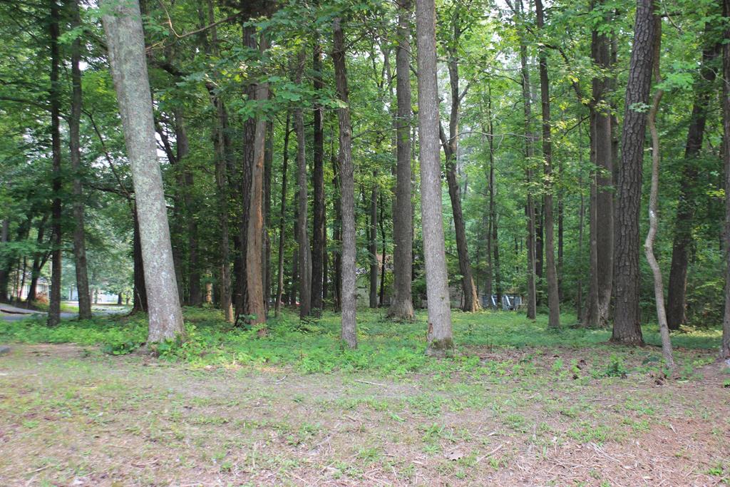 2040 Neptune Ct #2040, Greenbackville, Virginia image 1
