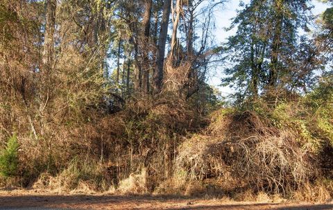 Vacant Land For Sale - LOT 1098 Amidship Dr #1098<br/> Accomack County, Greenbackville, VA 23356