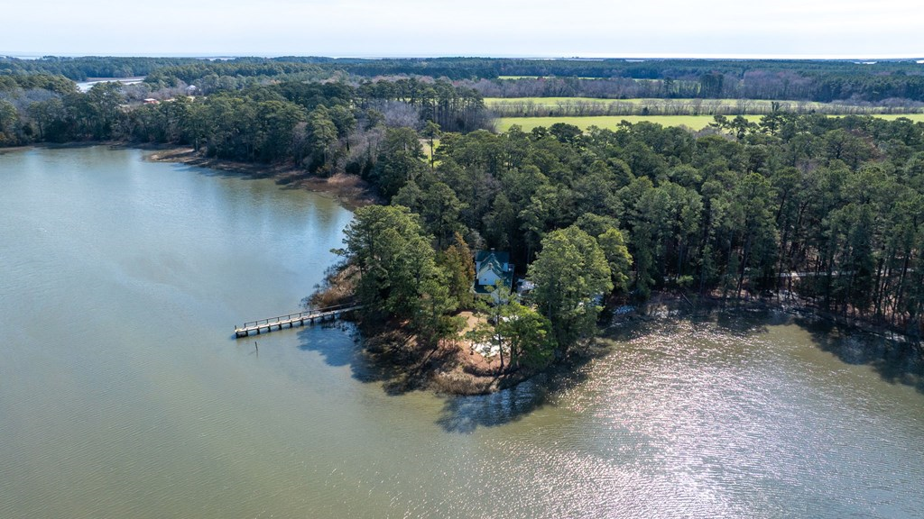 25285 Cantrell Lane, Accomac, Virginia image 46