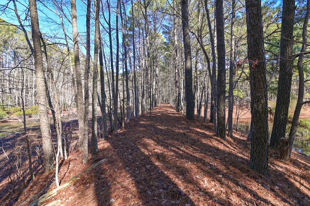 LOT 1 Peaceful Shores Dr #1, Exmore, Virginia image 14