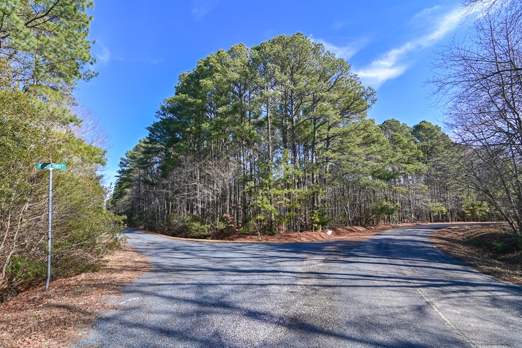 LOT 1 Peaceful Shores Dr #1, Exmore, Virginia image 2
