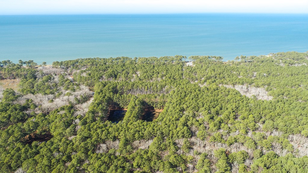 LOT 1 Peaceful Shores Dr #1, Exmore, Virginia image 7