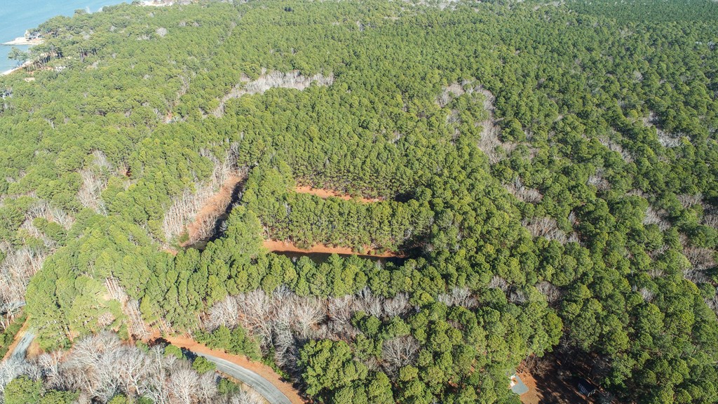 LOT 1 Peaceful Shores Dr #1, Exmore, Virginia image 3