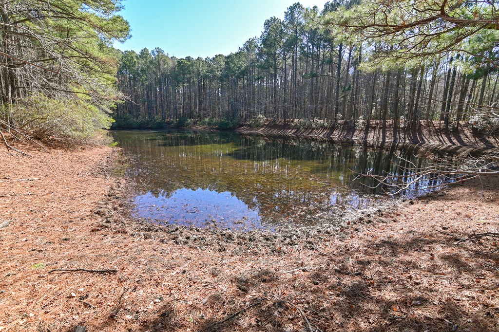 LOT 1 Peaceful Shores Dr #1, Exmore, Virginia image 15