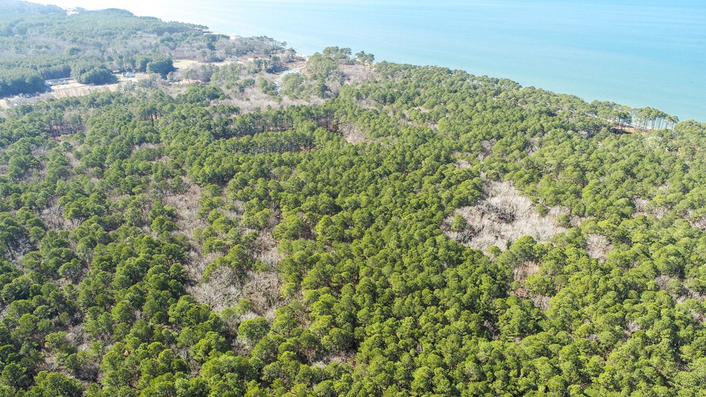 LOT 1 Peaceful Shores Dr #1, Exmore, Virginia image 9