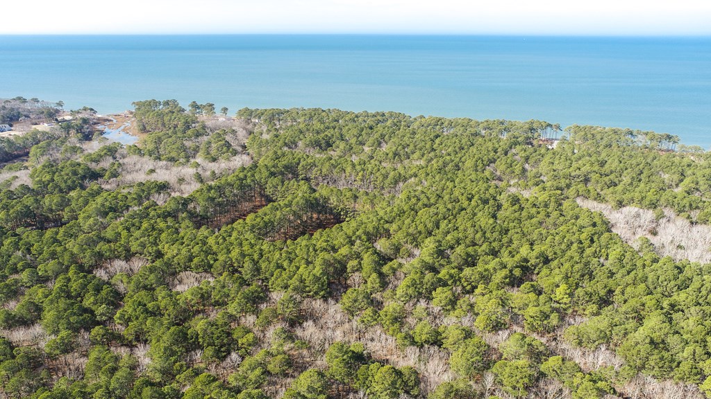 LOT 1 Peaceful Shores Dr #1, Exmore, Virginia image 8