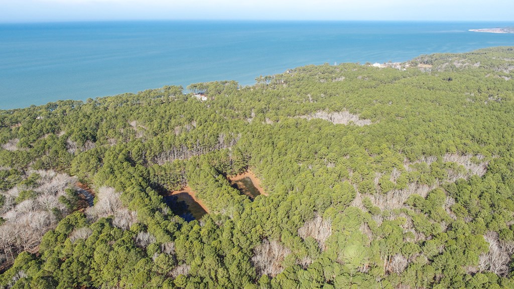 LOT 1 Peaceful Shores Dr #1, Exmore, Virginia image 6