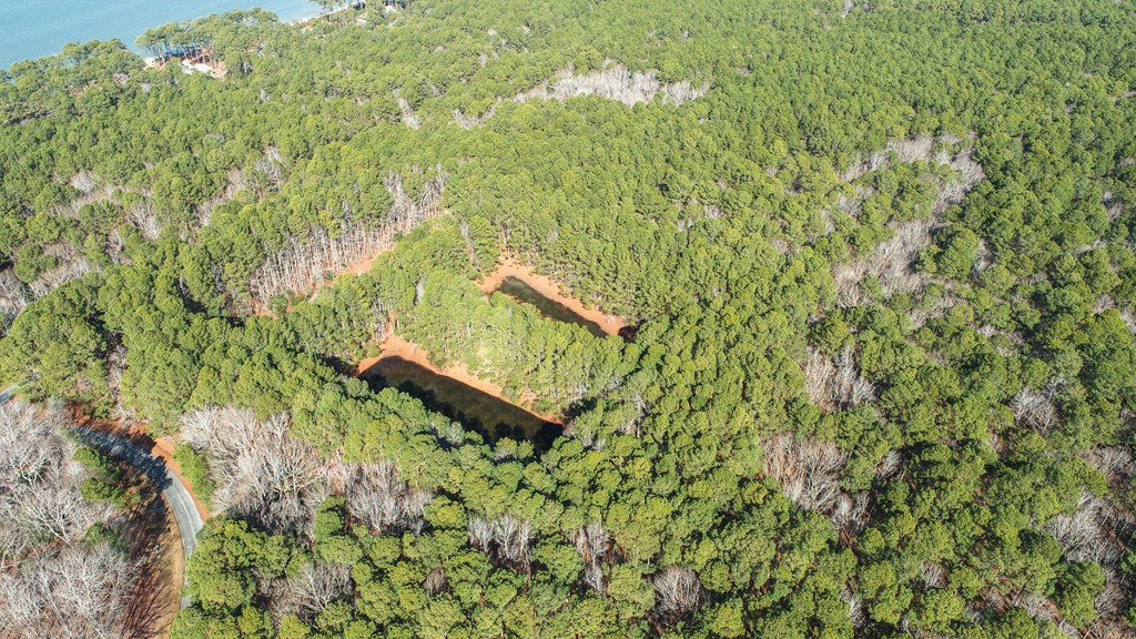LOT 1 Peaceful Shores Dr #1, Exmore, Virginia image 4