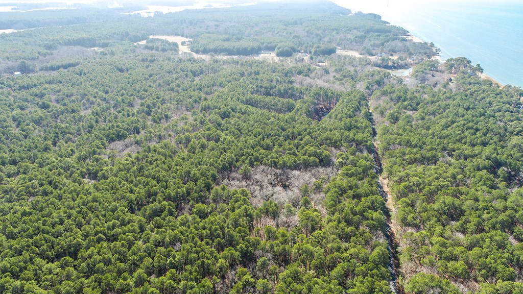 LOT 1 Peaceful Shores Dr #1, Exmore, Virginia image 10