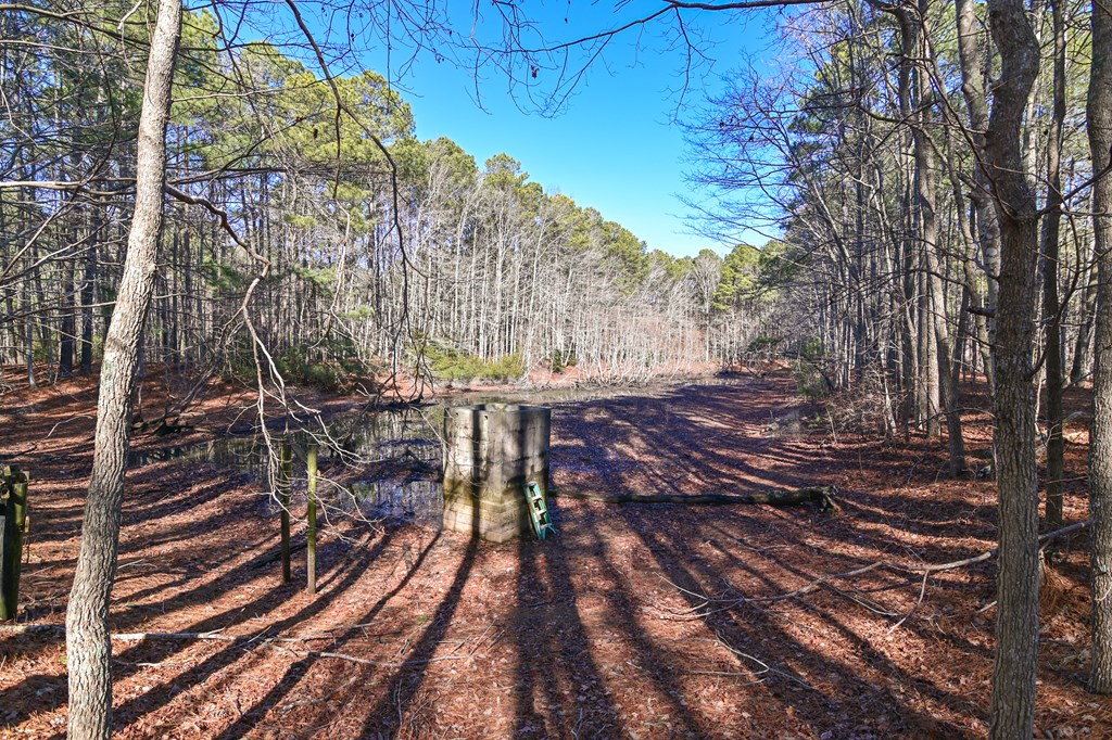 LOT 1 Peaceful Shores Dr #1, Exmore, Virginia image 12