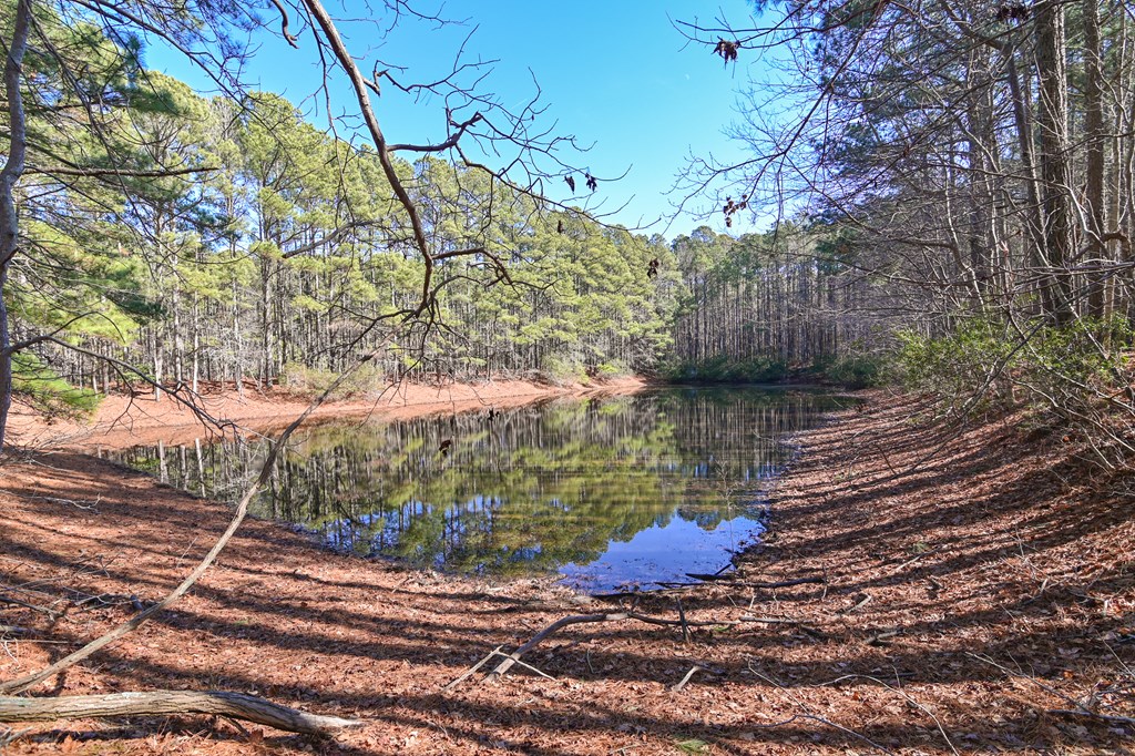 LOT 1 Peaceful Shores Dr #1, Exmore, Virginia image 13