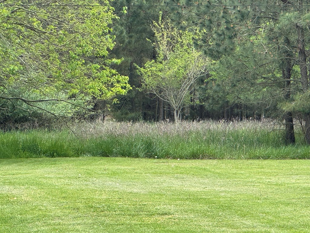 Lot 1 Northside Rd #1, Onancock, Virginia image 3