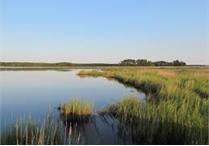 00 Burford Ct #111, Cape Charles, Virginia image 7