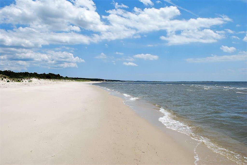 00 Burford Ct #111, Cape Charles, Virginia image 5