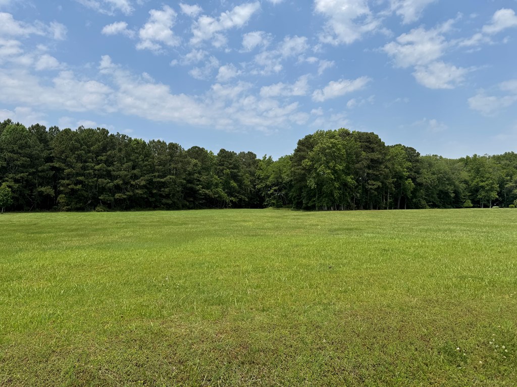 Lot 55 Lewis Lane #55, Parksley, Virginia image 42
