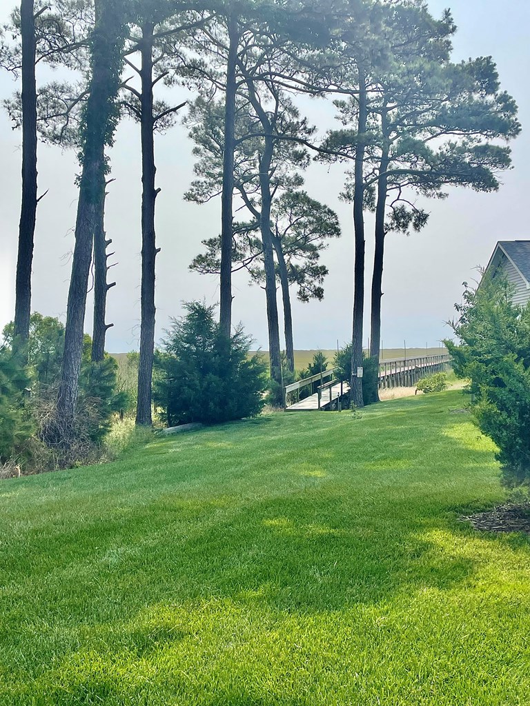Lot 55 Lewis Lane #55, Parksley, Virginia image 21