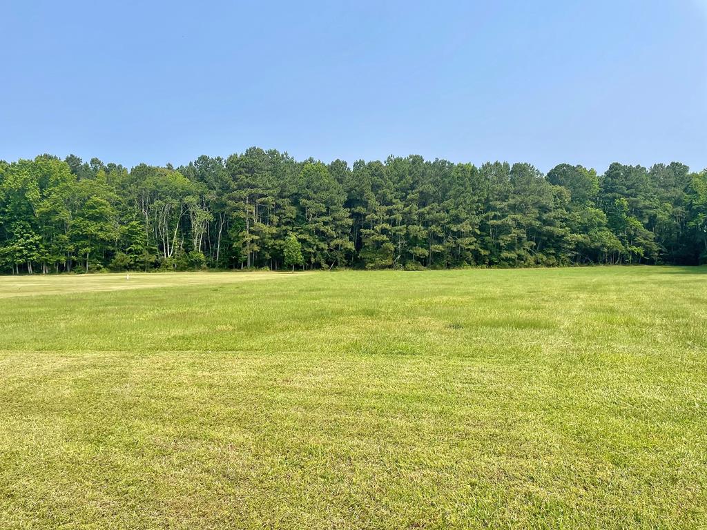 Lot 55 Lewis Lane #55, Parksley, Virginia image 1