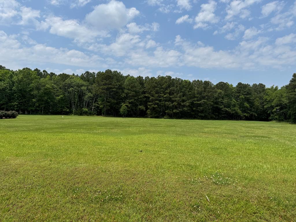 Lot 55 Lewis Lane #55, Parksley, Virginia image 44