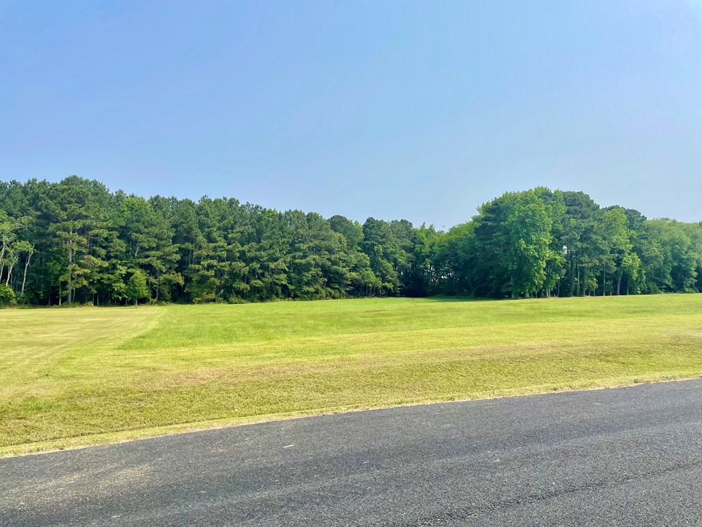 Lot 55 Lewis Lane #55, Parksley, Virginia image 41