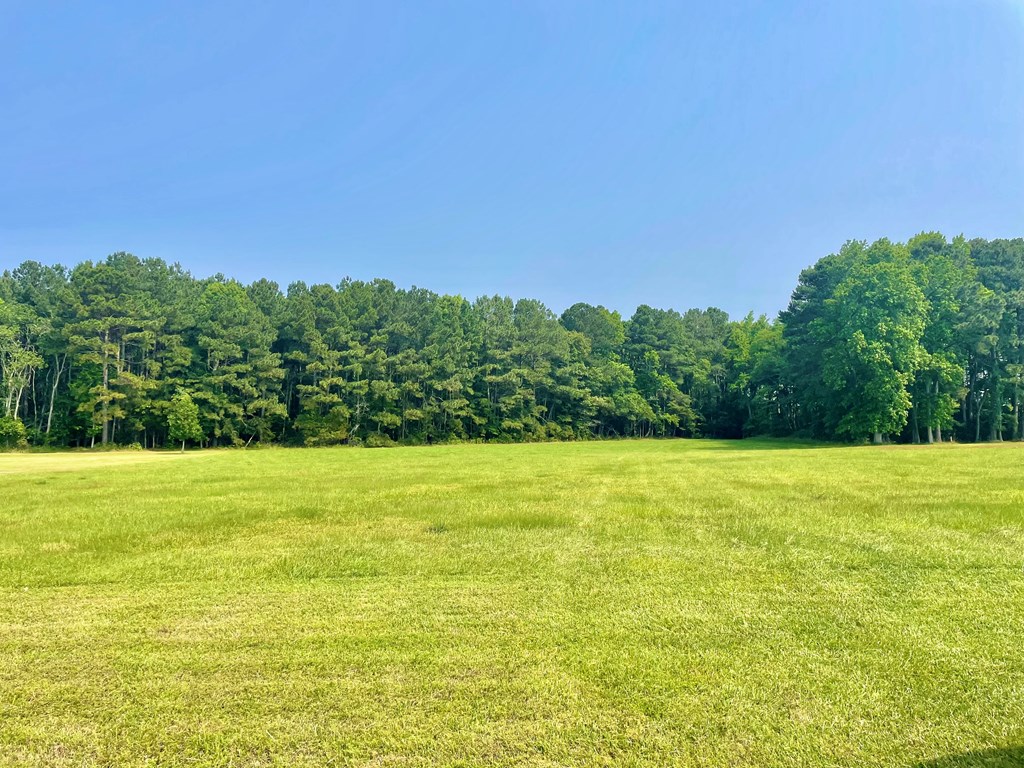 Lot 55 Lewis Lane #55, Parksley, Virginia image 38