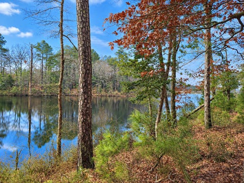 Vacant Land For Sale - 26 & 27 Parker Path #2627<br/> New Church, VA 23415