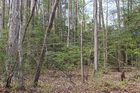 Vacant Land For Sale - 79 Pieces Of Eight #79<br/> Accomack County, Greenbackville, VA 23356