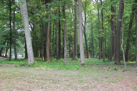 Vacant Land For Sale - 2040 Neptune Ct #2040<br/> Greenbackville, VA 23356