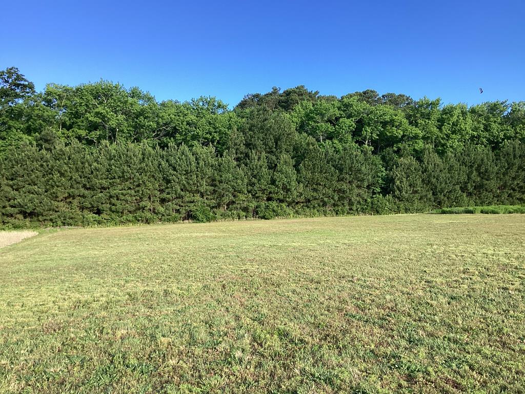 Lot 4 Seaside Rd #4, Cape Charles, Virginia image 20