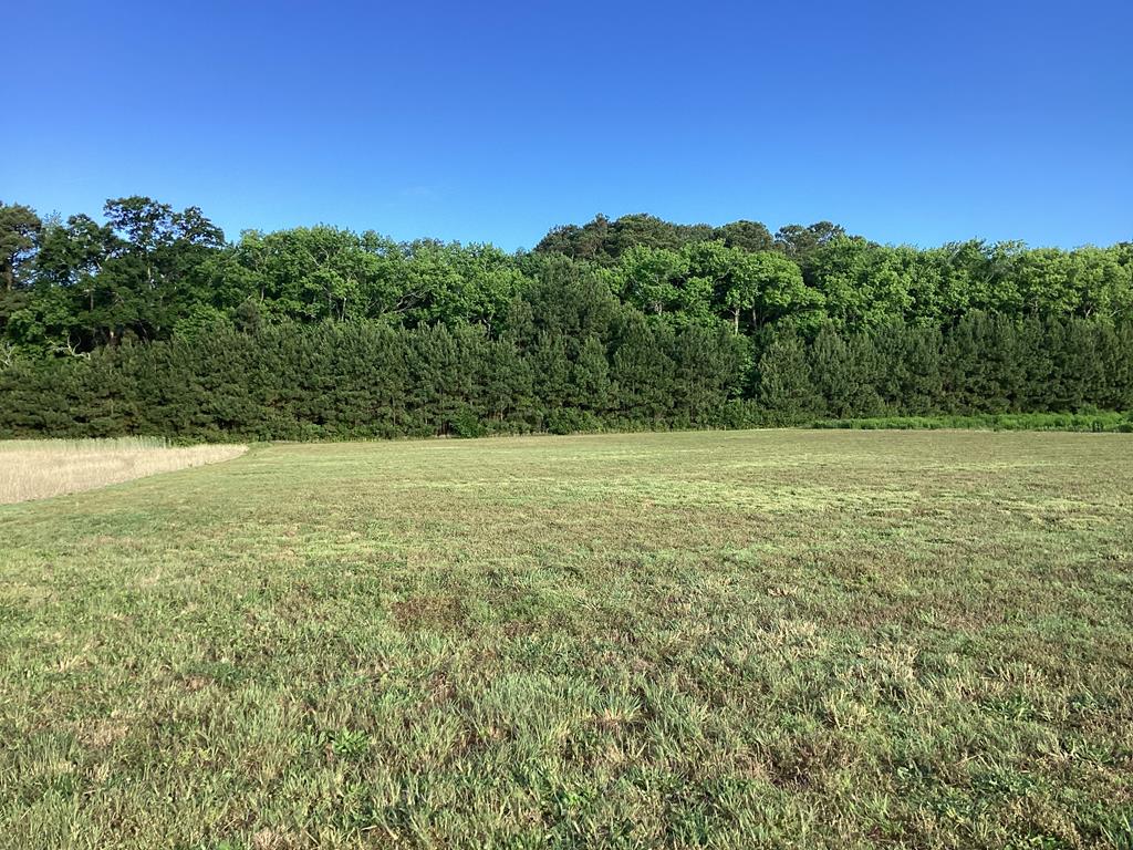 Lot 4 Seaside Rd #4, Cape Charles, Virginia image 19