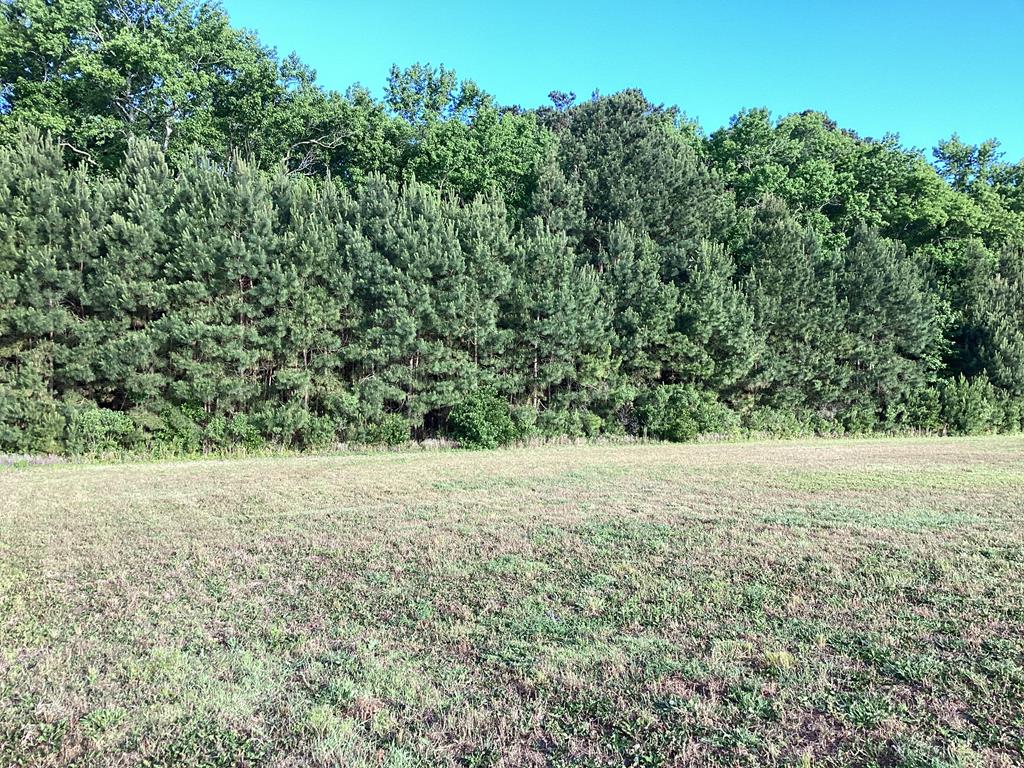 Lot 4 Seaside Rd #4, Cape Charles, Virginia image 21