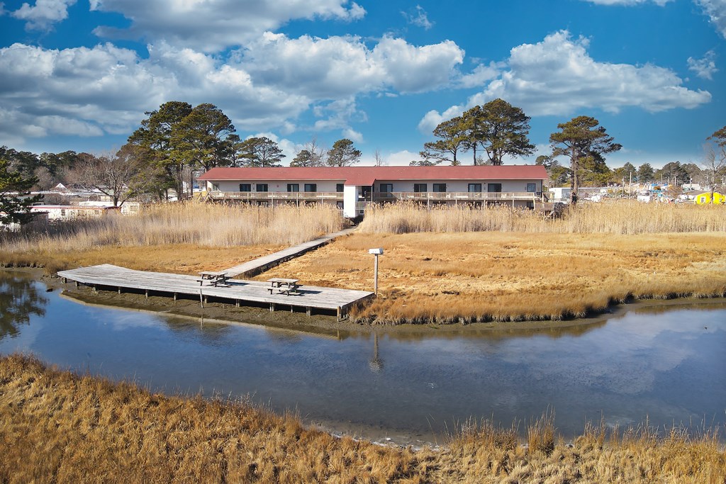 6570-207 Coachs Lane, Chincoteague, Virginia image 2