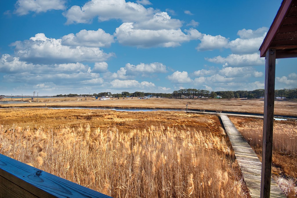 6570-207 Coachs Lane, Chincoteague, Virginia image 11