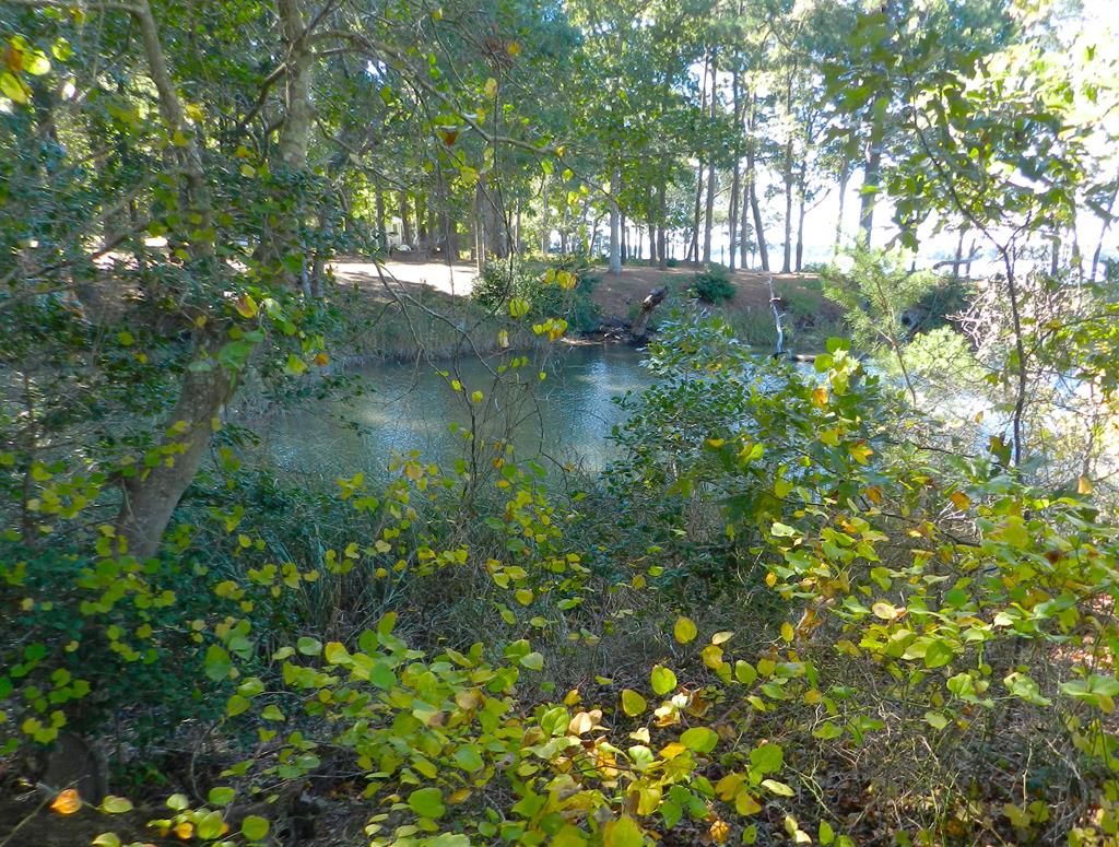 Lot 21A Wilsonia Shores Dr #21A, Machipongo, Virginia image 5