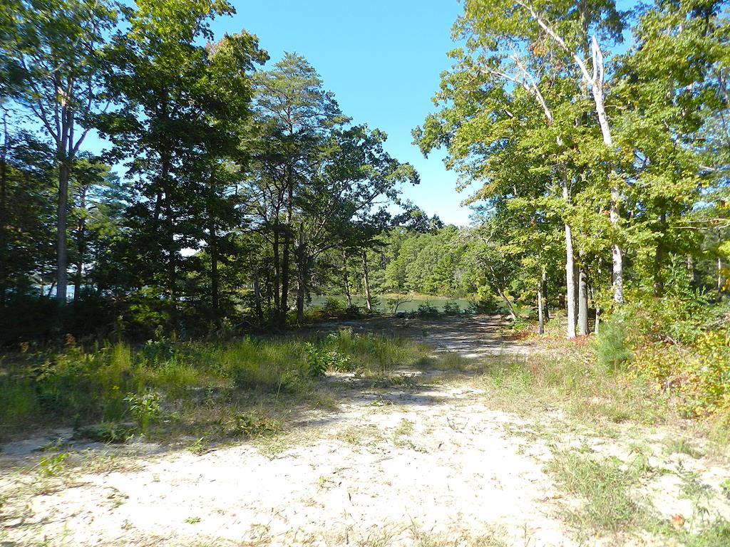 Lot 21A Wilsonia Shores Dr #21A, Machipongo, Virginia image 4