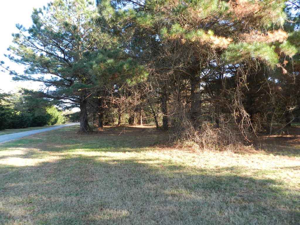 Lot 3&X Barlow Creek Ln #3  X, Eastville, Virginia image 22