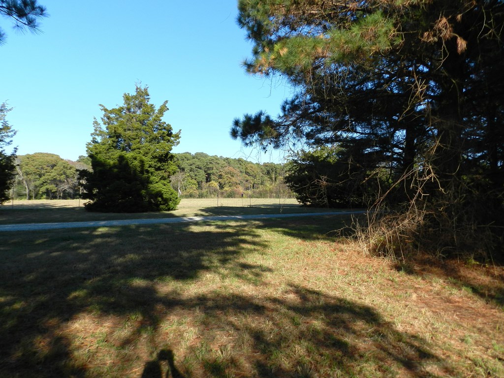 Lot 3&X Barlow Creek Ln #3  X, Eastville, Virginia image 21