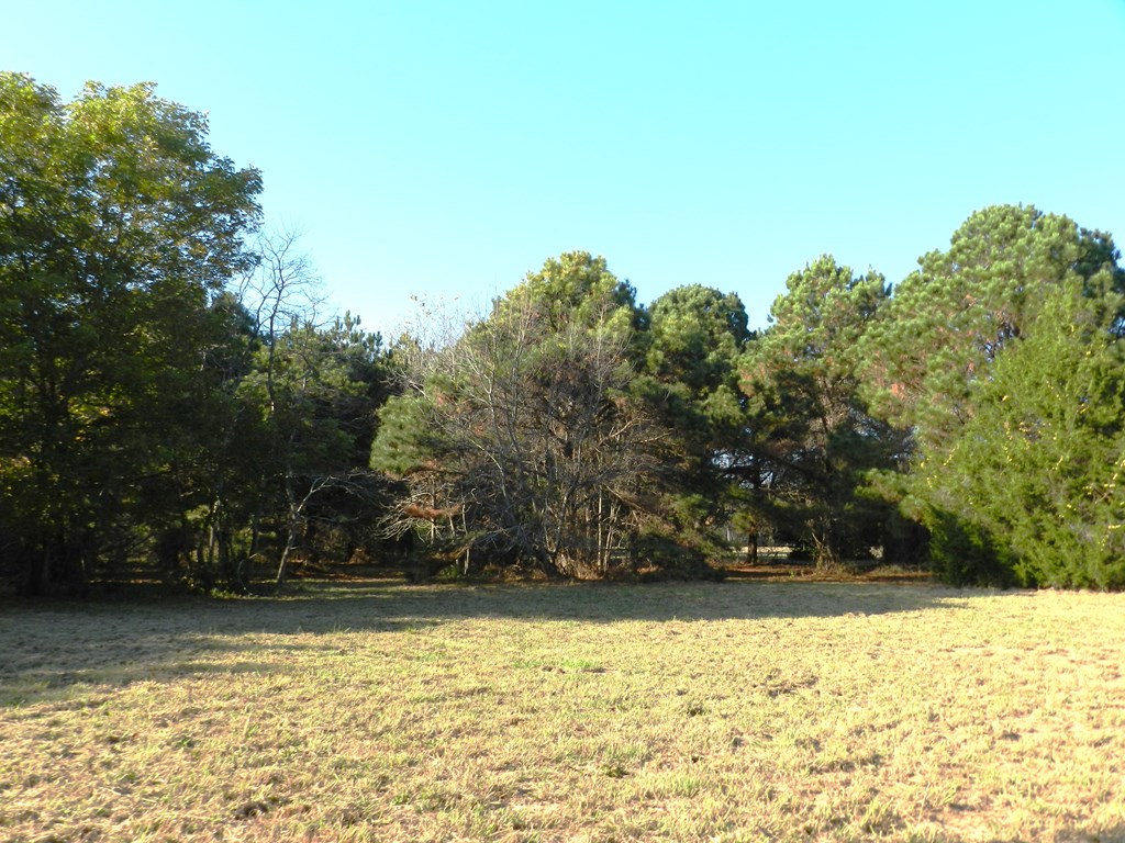 Lot 3&X Barlow Creek Ln #3  X, Eastville, Virginia image 11