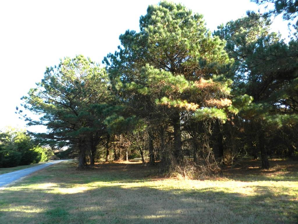 Lot 3&X Barlow Creek Ln #3  X, Eastville, Virginia image 1