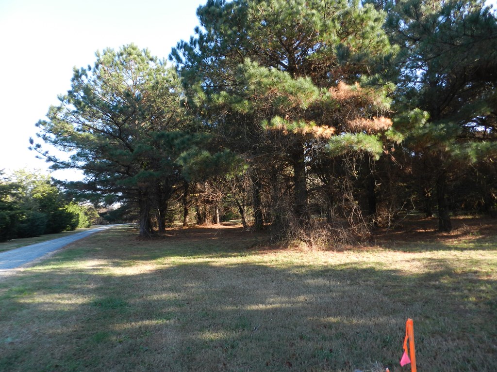 Lot 3&X Barlow Creek Ln #3  X, Eastville, Virginia image 14