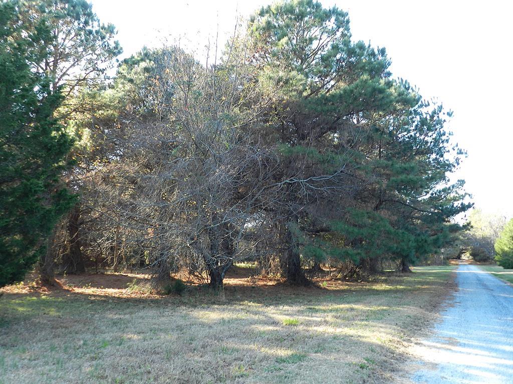 Lot 3&X Barlow Creek Ln #3  X, Eastville, Virginia image 2