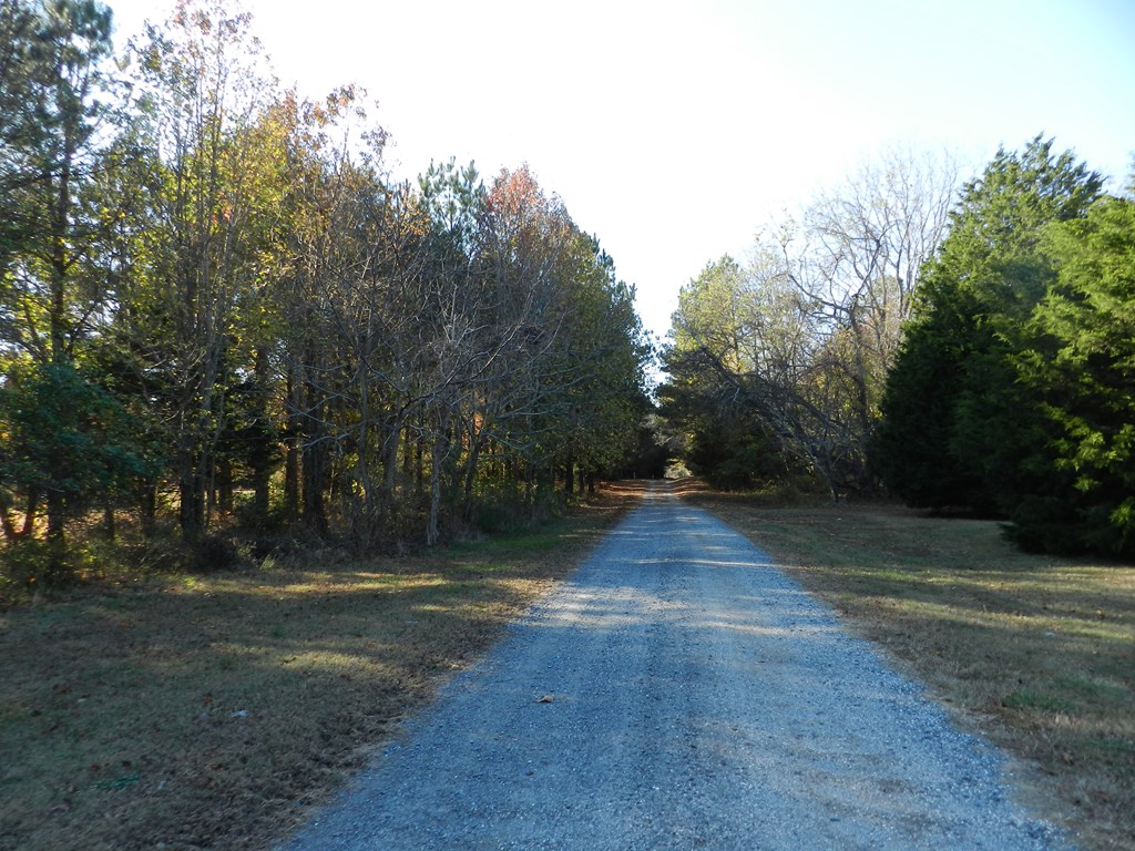 Lot 3&X Barlow Creek Ln #3  X, Eastville, Virginia image 23