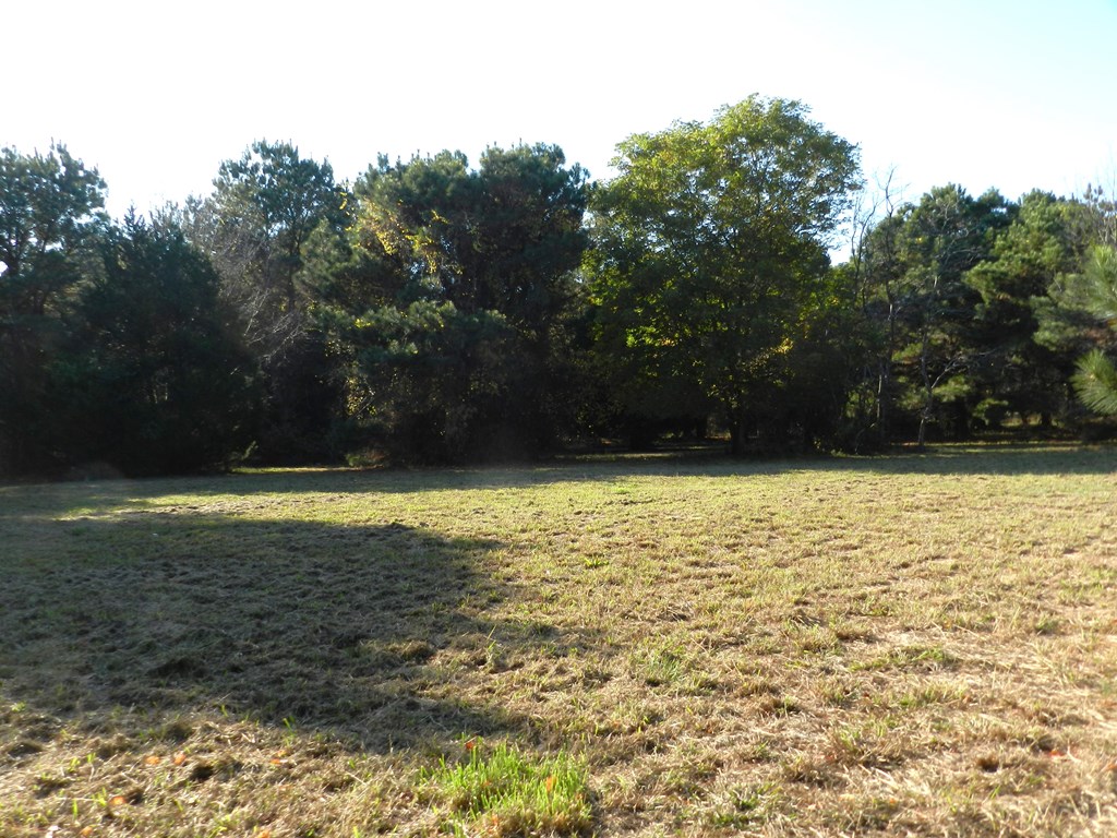 Lot 3&X Barlow Creek Ln #3  X, Eastville, Virginia image 9