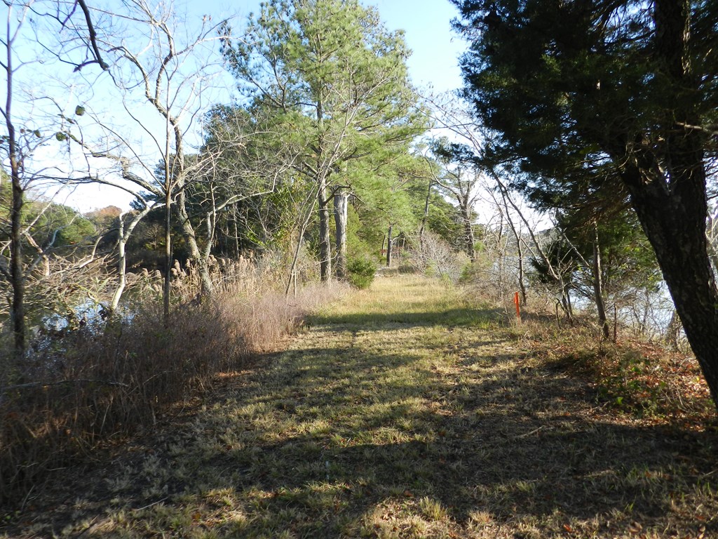 Lot 3&X Barlow Creek Ln #3  X, Eastville, Virginia image 29