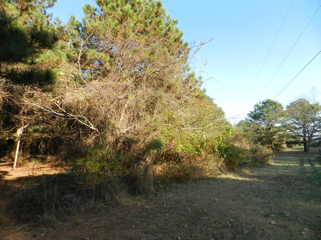 Lot 3&X Barlow Creek Ln #3  X, Eastville, Virginia image 20